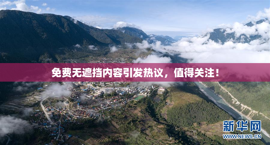 免费无遮挡内容引发热议，值得关注！