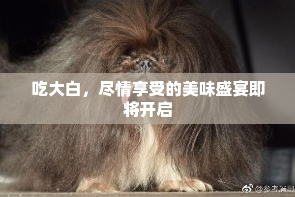 吃大白，尽情享受的美味盛宴即将开启