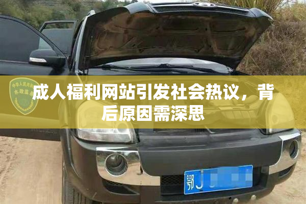 成人福利网站引发社会热议，背后原因需深思
