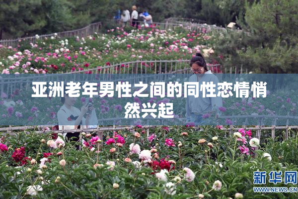 亚洲老年男性之间的同性恋情悄然兴起