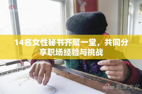 14名女性秘书齐聚一堂，共同分享职场经验与挑战