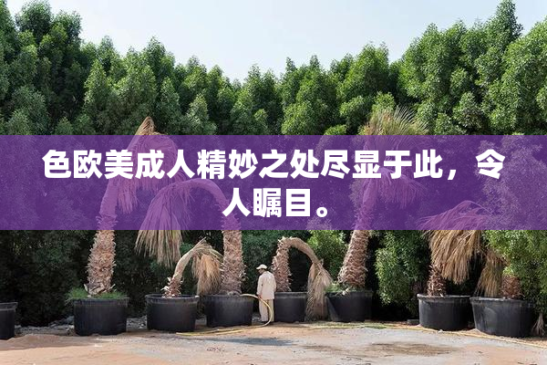 色欧美成人精妙之处尽显于此，令人瞩目。
