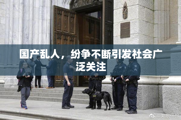 国产乱人，纷争不断引发社会广泛关注