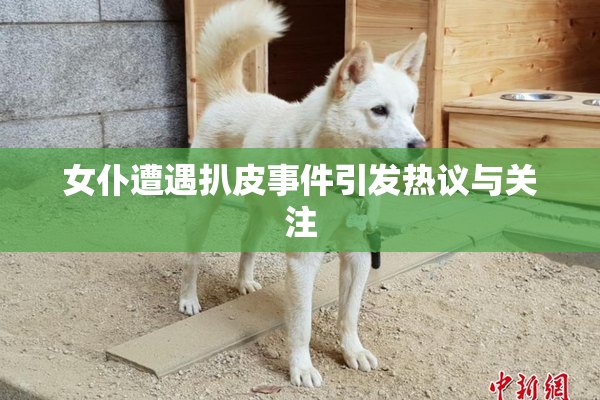 女仆遭遇扒皮事件引发热议与关注