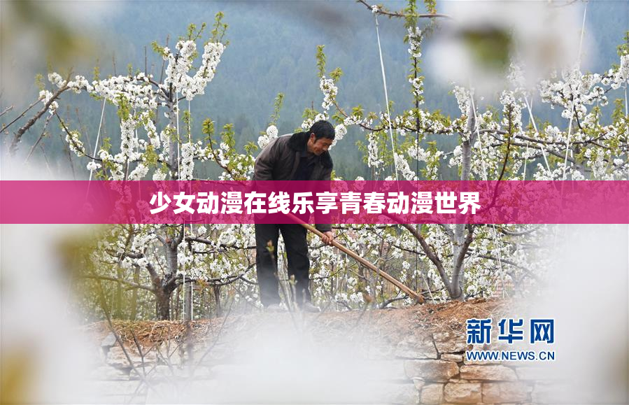 少女动漫在线乐享青春动漫世界
