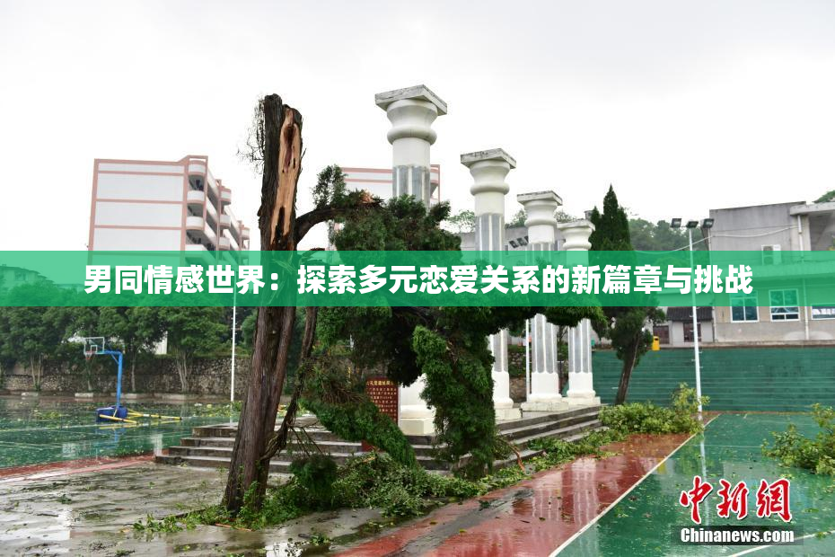 男同情感世界：探索多元恋爱关系的新篇章与挑战