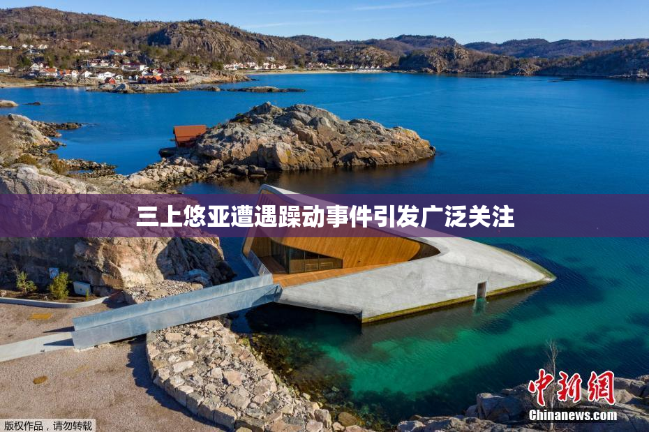 三上悠亚遭遇躁动事件引发广泛关注