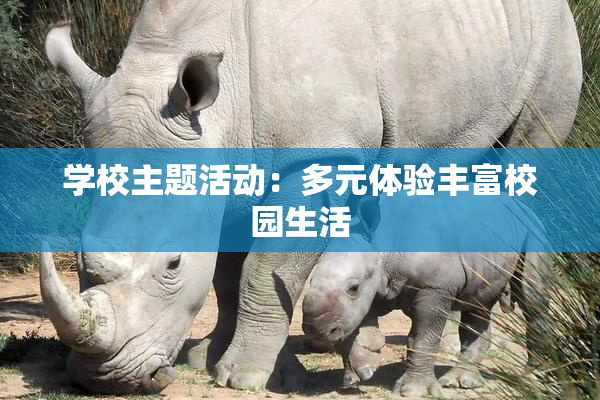 学校主题活动：多元体验丰富校园生活