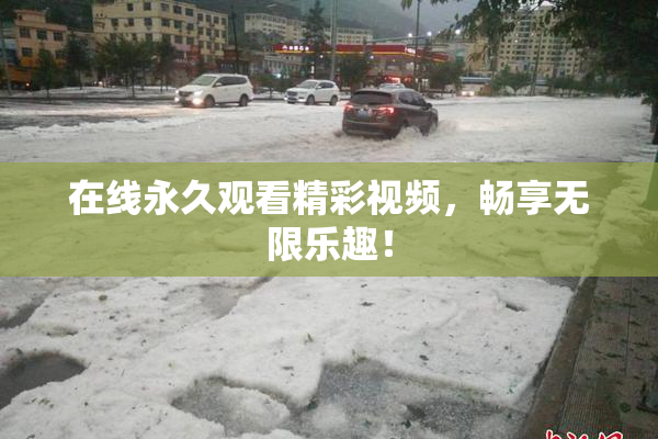 在线永久观看精彩视频，畅享无限乐趣！