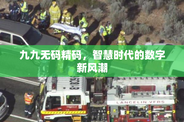 九九无码精码，智慧时代的数字新风潮