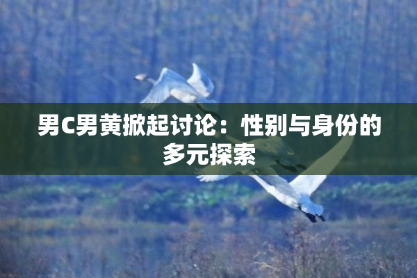 男C男黄掀起讨论：性别与身份的多元探索