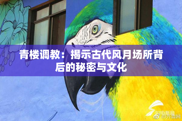 青楼调教：揭示古代风月场所背后的秘密与文化