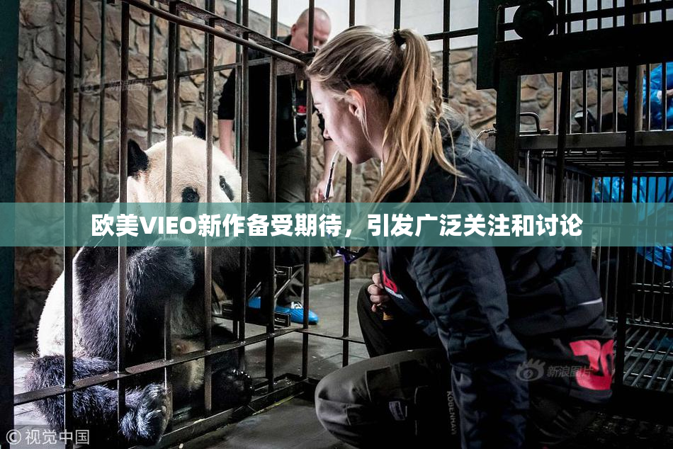 欧美VIEO新作备受期待，引发广泛关注和讨论
