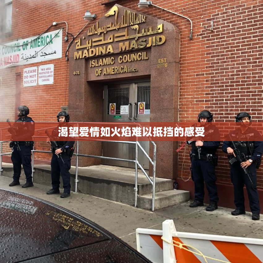 渴望爱情如火焰难以抵挡的感受