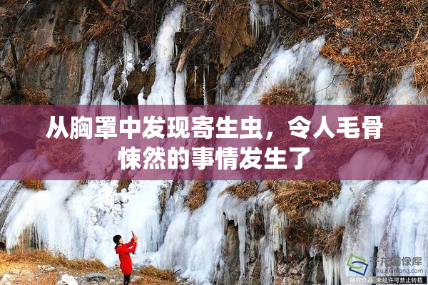 从胸罩中发现寄生虫，令人毛骨悚然的事情发生了