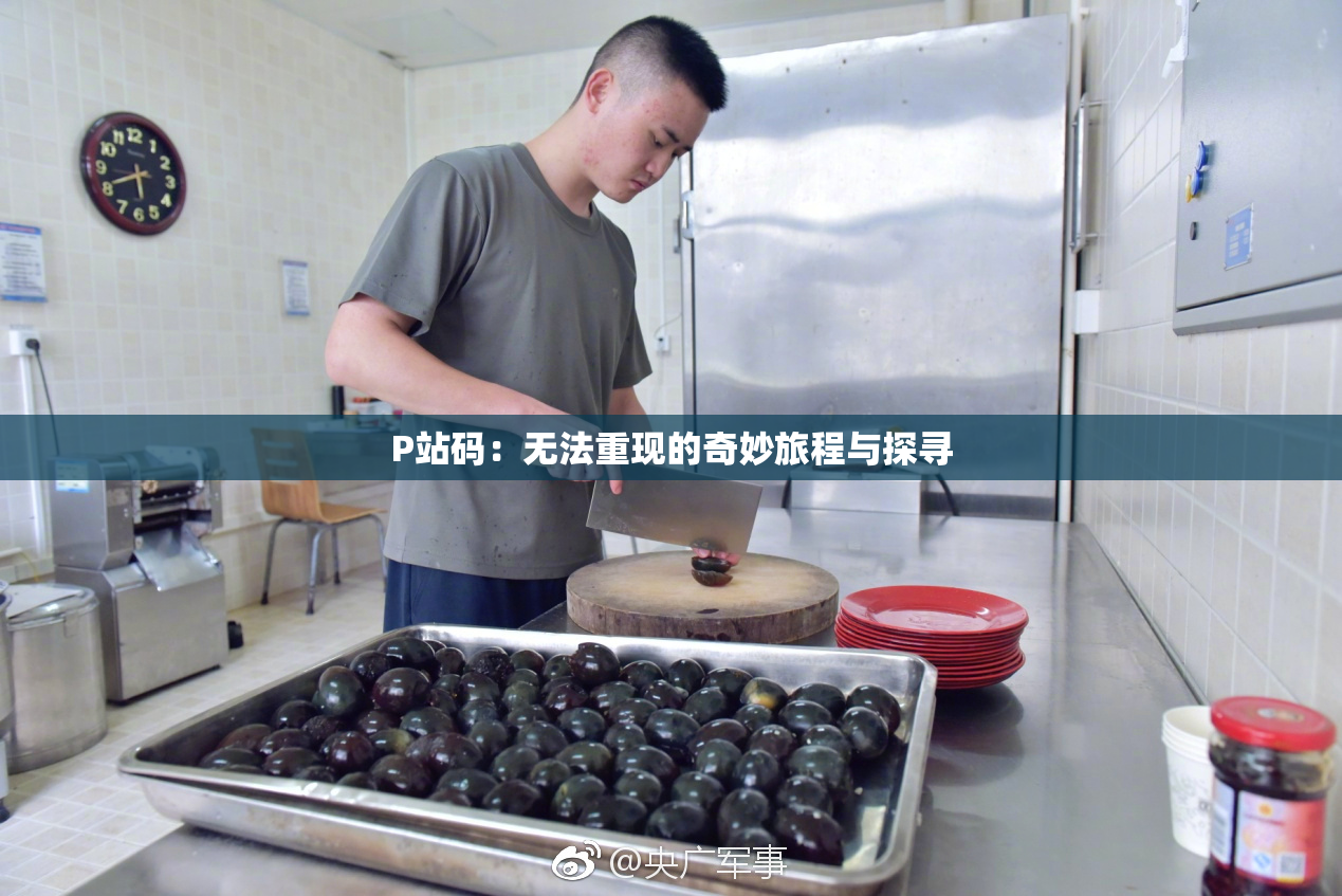 P站码：无法重现的奇妙旅程与探寻