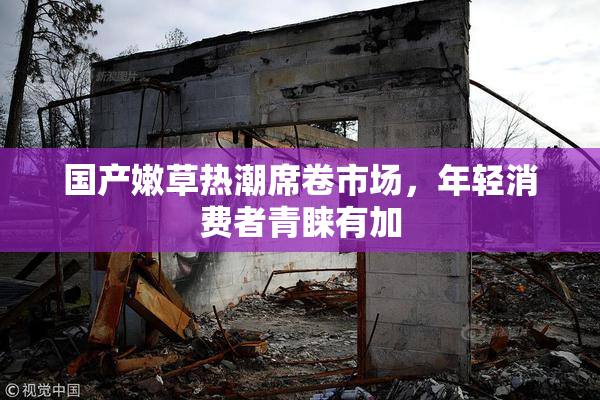 国产嫩草热潮席卷市场，年轻消费者青睐有加