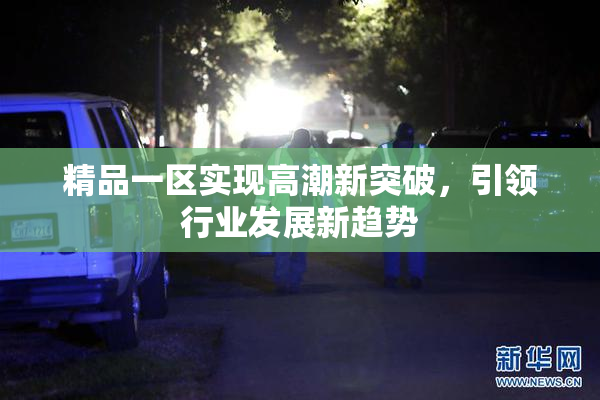 精品一区实现高潮新突破，引领行业发展新趋势