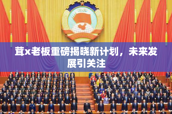 茸x老板重磅揭晓新计划，未来发展引关注