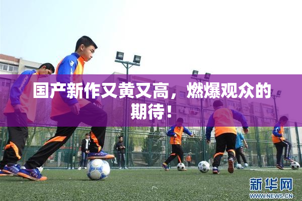 国产新作又黄又高，燃爆观众的期待！
