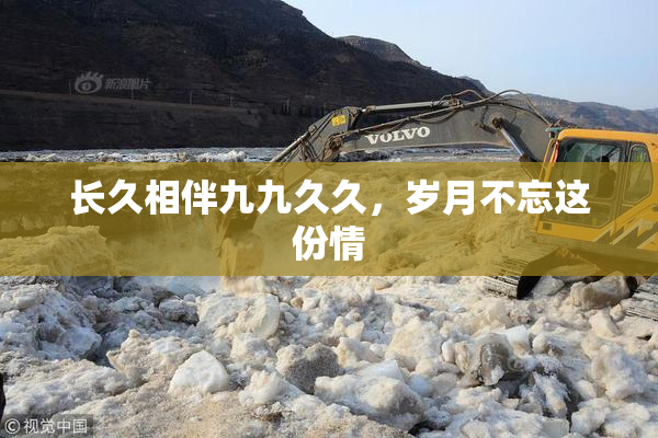 长久相伴九九久久，岁月不忘这份情