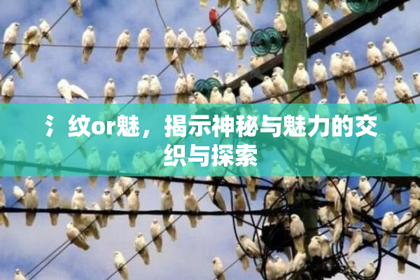 氵纹or魅，揭示神秘与魅力的交织与探索