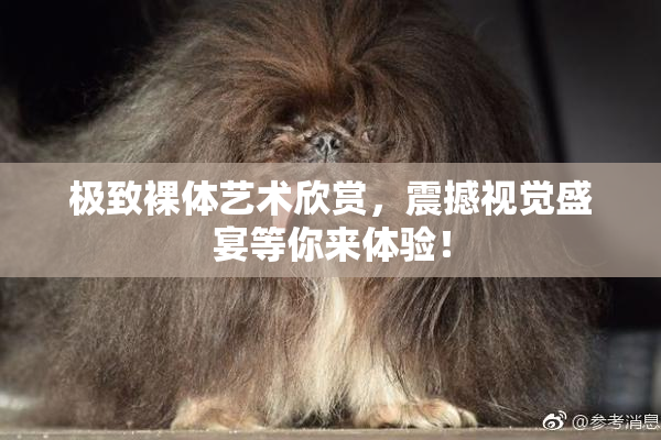 极致裸体艺术欣赏，震撼视觉盛宴等你来体验！