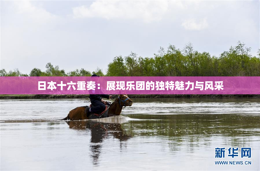 日本十六重奏：展现乐团的独特魅力与风采