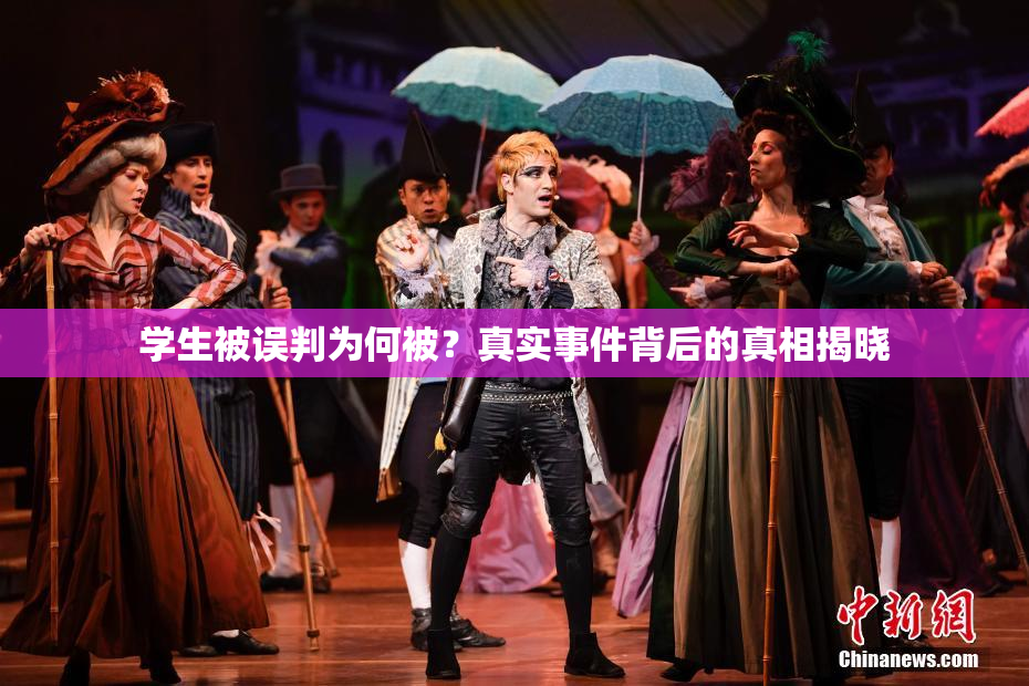 学生被误判为何被？真实事件背后的真相揭晓