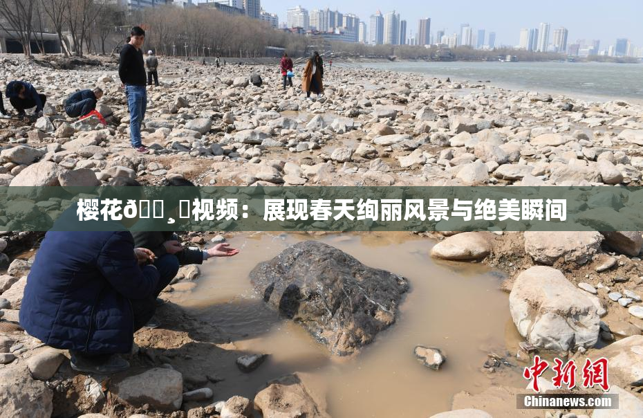 樱花🌸‌视频：展现春天绚丽风景与绝美瞬间
