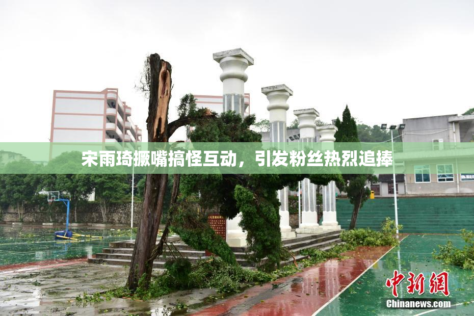 宋雨琦撅嘴搞怪互动，引发粉丝热烈追捧
