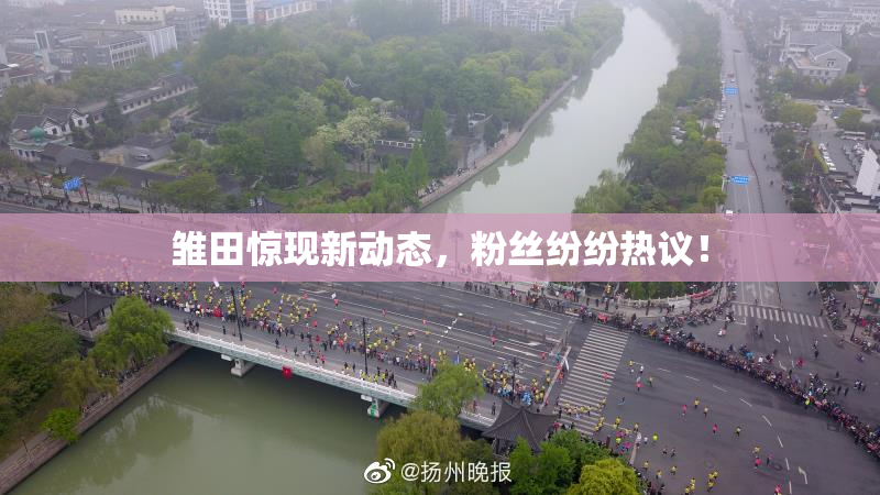 雏田惊现新动态，粉丝纷纷热议！