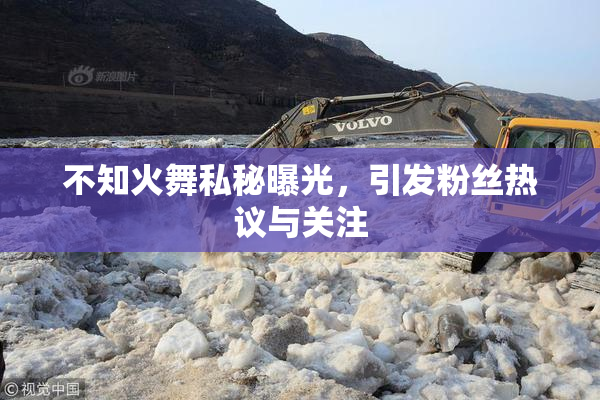 不知火舞私秘曝光，引发粉丝热议与关注