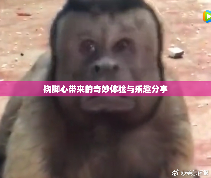 挠脚心带来的奇妙体验与乐趣分享