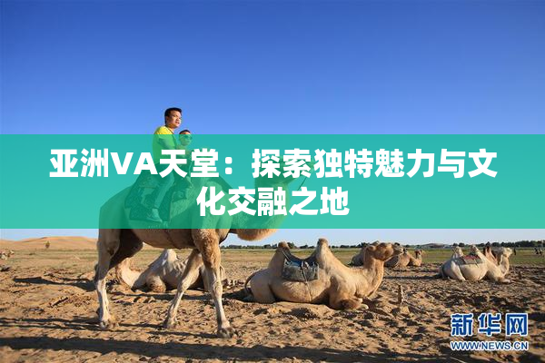 亚洲VA天堂：探索独特魅力与文化交融之地