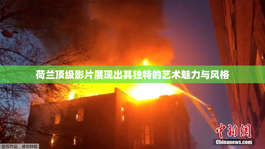 荷兰顶级影片展现出其独特的艺术魅力与风格