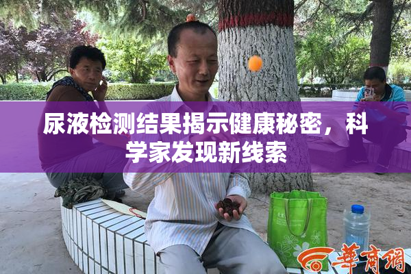 尿液检测结果揭示健康秘密，科学家发现新线索