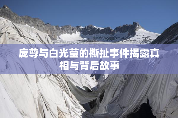 庞尊与白光莹的撕扯事件揭露真相与背后故事