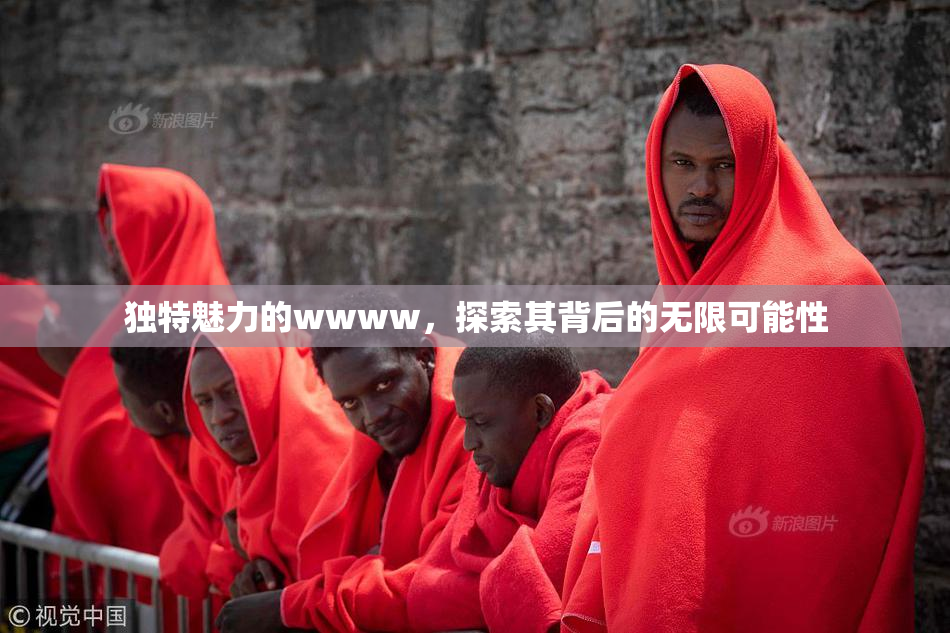 独特魅力的wwww，探索其背后的无限可能性