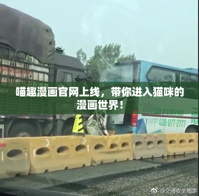 喵趣漫画官网上线，带你进入猫咪的漫画世界！