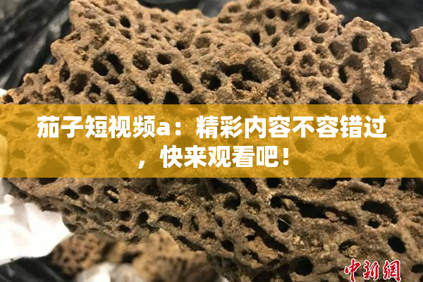 茄子短视频a：精彩内容不容错过，快来观看吧！