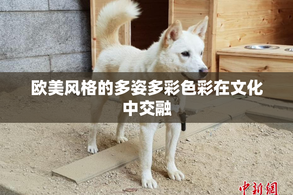 欧美风格的多姿多彩色彩在文化中交融