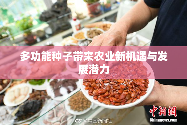 多功能种子带来农业新机遇与发展潜力