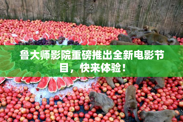 鲁大师影院重磅推出全新电影节目，快来体验！