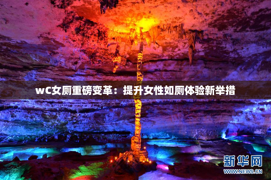 wC女厕重磅变革：提升女性如厕体验新举措