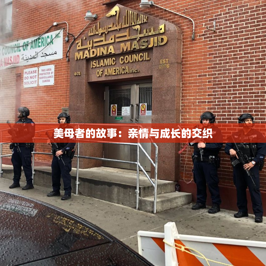 美母者的故事：亲情与成长的交织