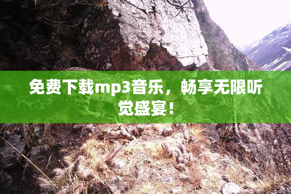 免费下载mp3音乐，畅享无限听觉盛宴！