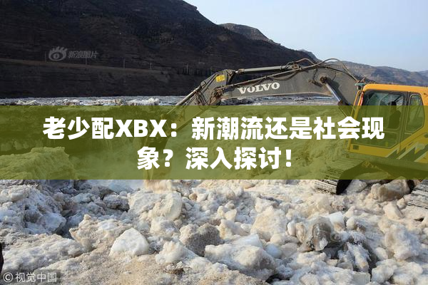 老少配XBX：新潮流还是社会现象？深入探讨！