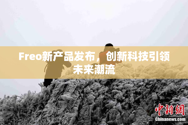 Freo新产品发布，创新科技引领未来潮流