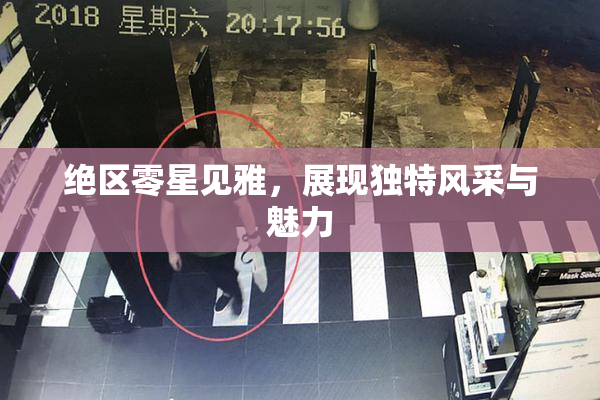 绝区零星见雅，展现独特风采与魅力